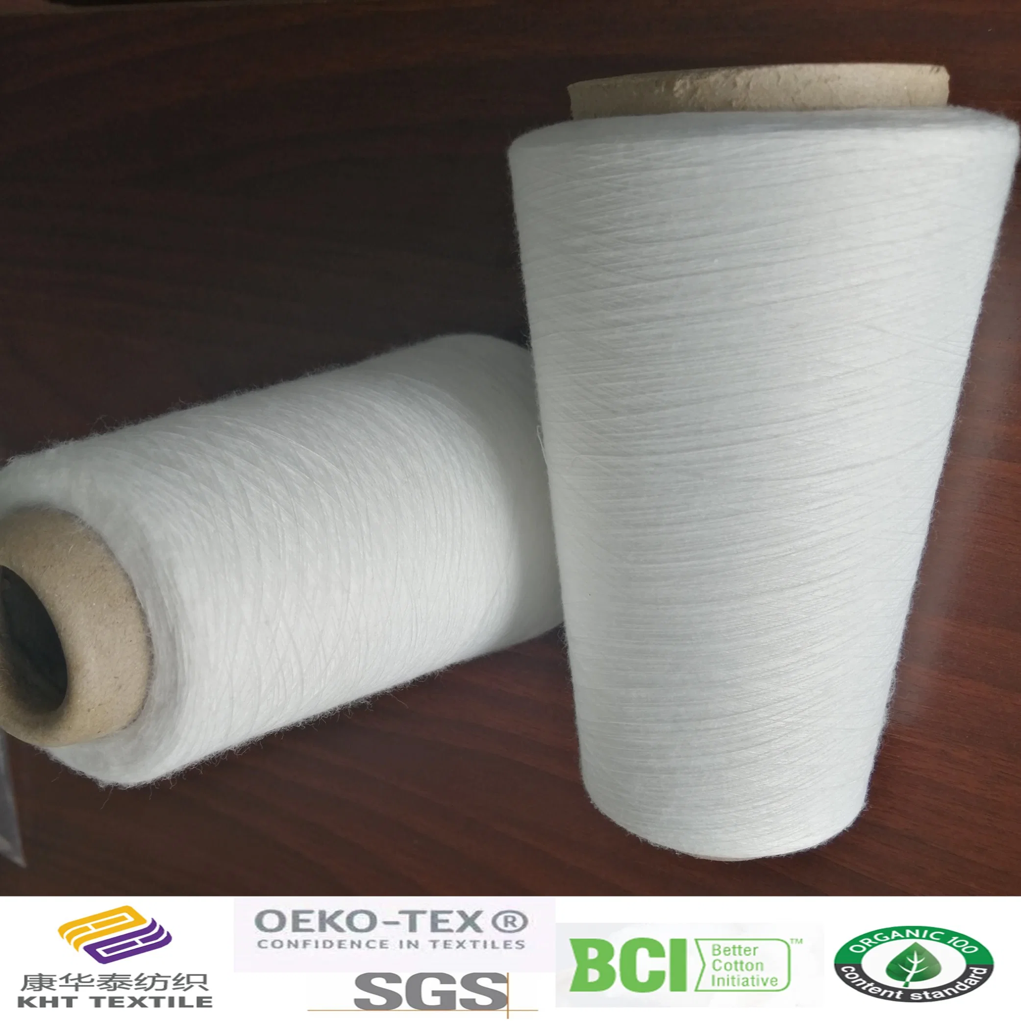 Polyester Ring Spun Yarn Ne30s/1