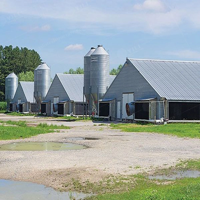 China Industrial Poultry Shed House Chicken Farm Poultry Shed Chicken Haus