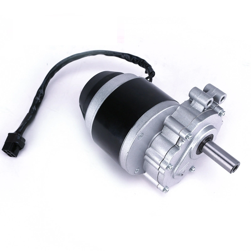 120rpm 160rpm 75rpm Hot Sale DC 24V 250W Electric Vehicle Motor