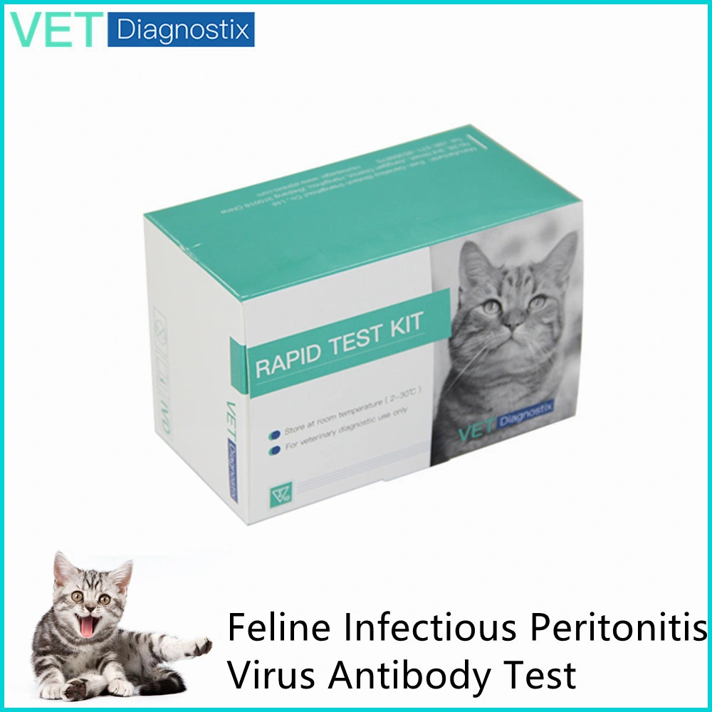 Peritonite em gatos felino veterinários peritonite infecciosa anticorpos do vírus Fipv Ab teste diagnóstico rápido