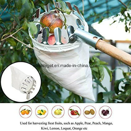 Fruit Picker Head Basket or Fruit Picking Tools, Fruits Catcher for Harvest Bl10326