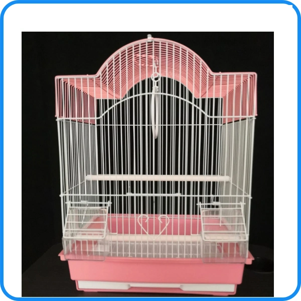 Mayorista de fábrica grandes Parrot Bird Cage