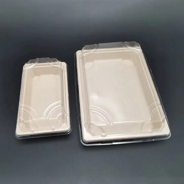 Disposable Sugarcane Tableware Environmental Protection Bagasse Rectangle Tray