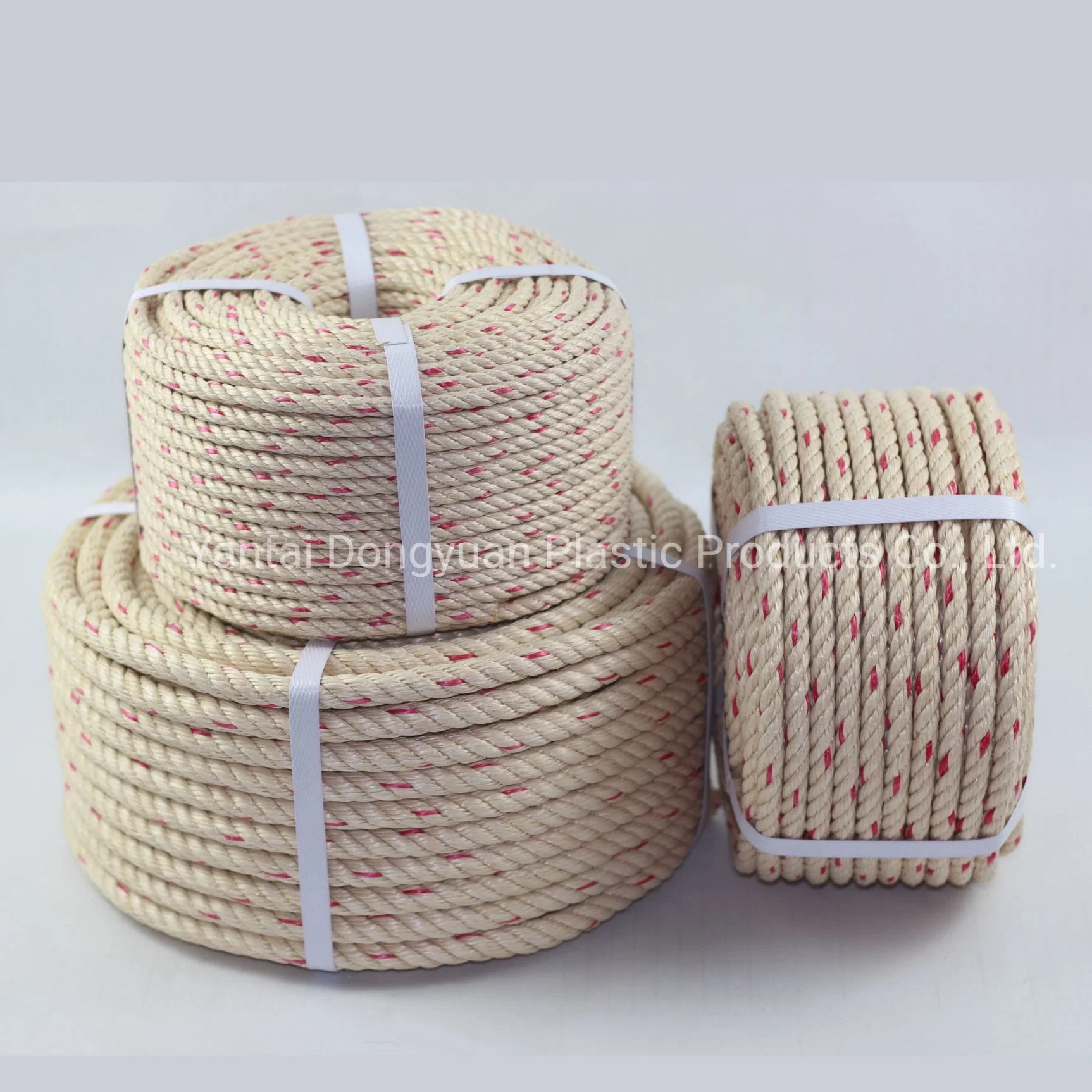 Polypropylene Danline Rope 6mm 8mm 10mm 12mm 14mm 16mm PP Ropes with Packing in Reel and Roll