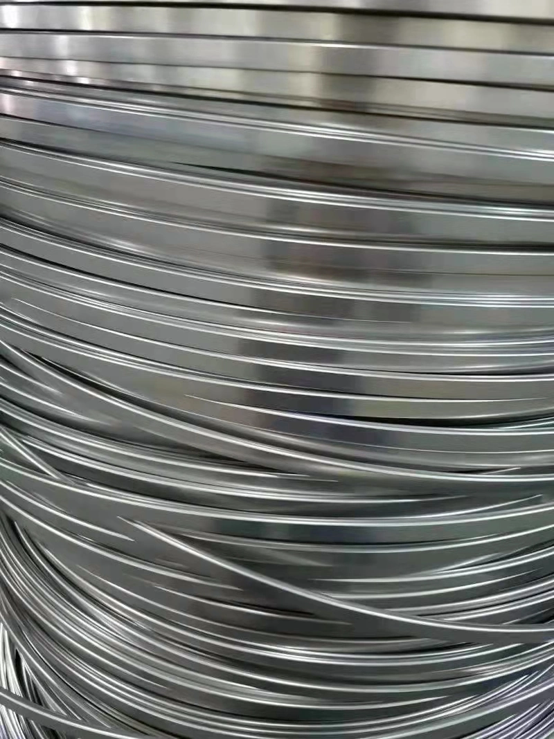 AISI 304 Cold Rolled Stainless Steel Flat Wire