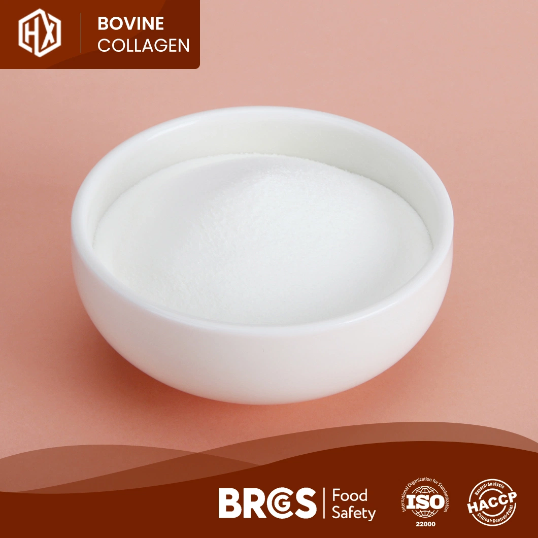 Haoxiang OEM Customized Collagen Peptide From Bovine Hide Good Quality Bovine Collagen Powder Easily Dissloved China Supplier Quality Bovine Collagen Tablet