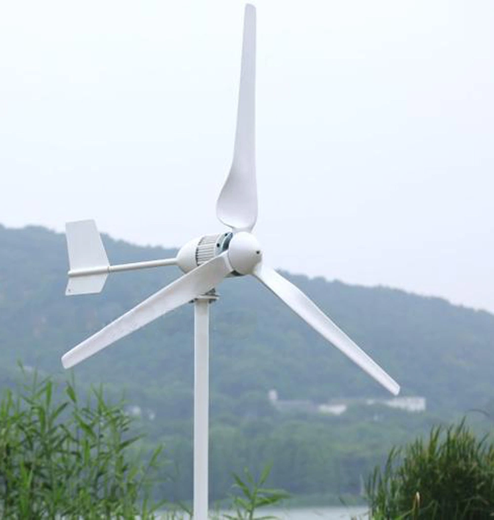 Horizontal 500W 24V 12V Wind Mill Generator for Home Use