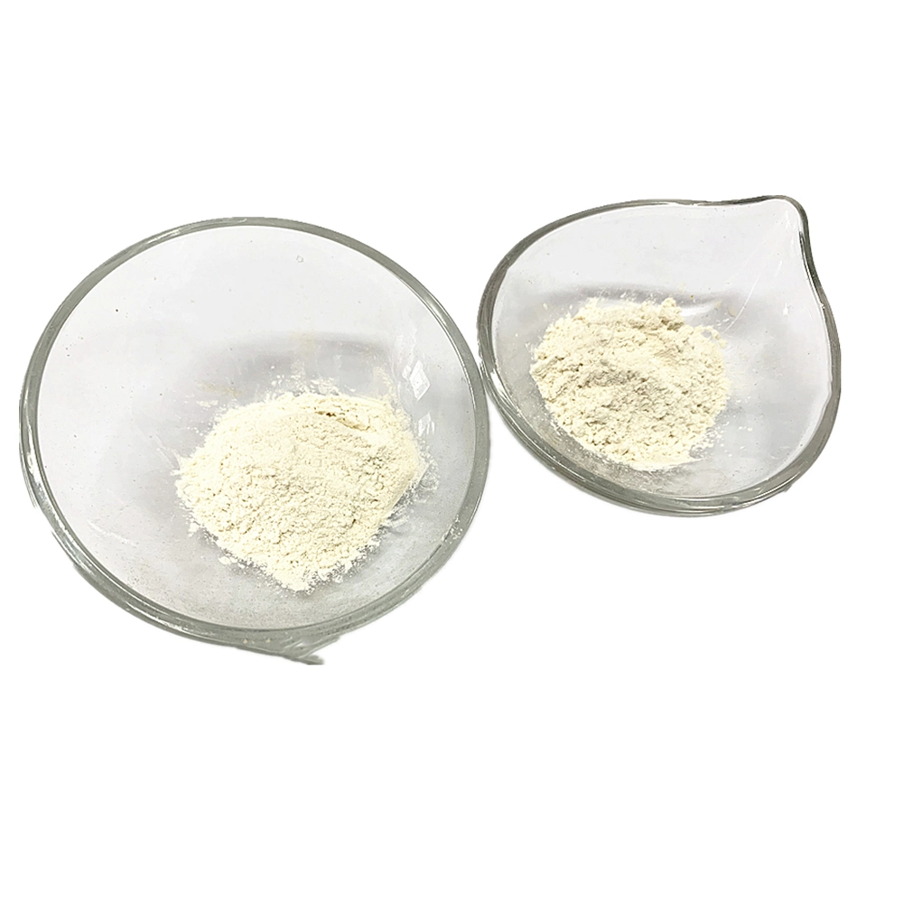 Chinese Dehydrated White Onion Powder