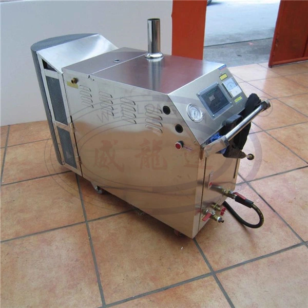 Wld1190 High quality/High cost performance  Portable Steam Car Washer for Sale