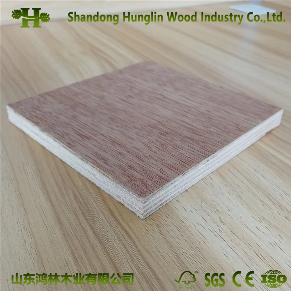 Wholesale Okoume/Bintangor Plywood/Pallet Plywood for Packing/Furnitue