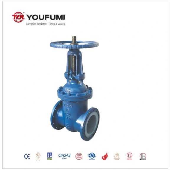 ANSI Flange Type PFA Lined Gate Valve Wcb