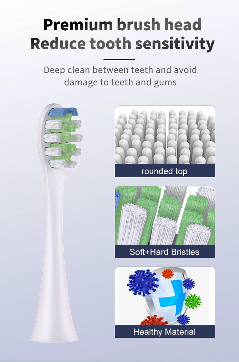 فرشاة أسنان كهربائية بتقنية الاهتزازات الصوتية للبالغين من المصنع الأصلي للمعدة (OEM) قابلة لإعادة