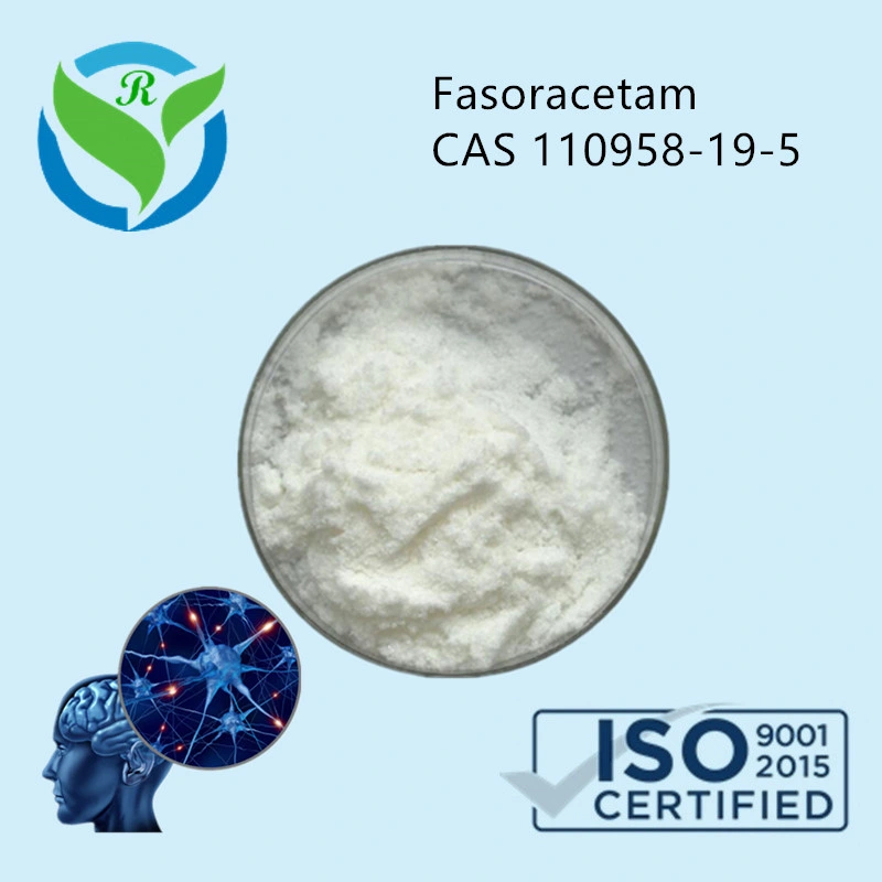 Us/Australia/Canada/Europe Hot Sale Nootropics Raw Powder Fasoracetam CAS 110958-19-5 with Lowest Price and Fast Delivery