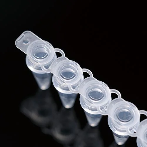 Domed Caps 0.2ml PCR Tubes Ensure Efficient Heat Transfer