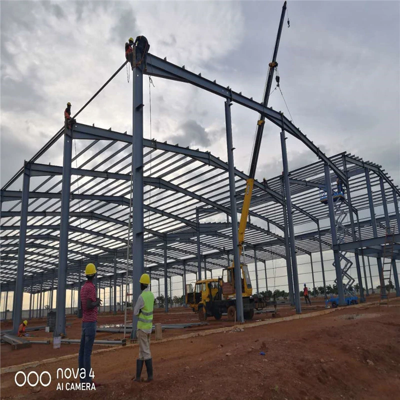 Steel Frame Construction Prefab Plant Factory Light Steel Structure Storehouse