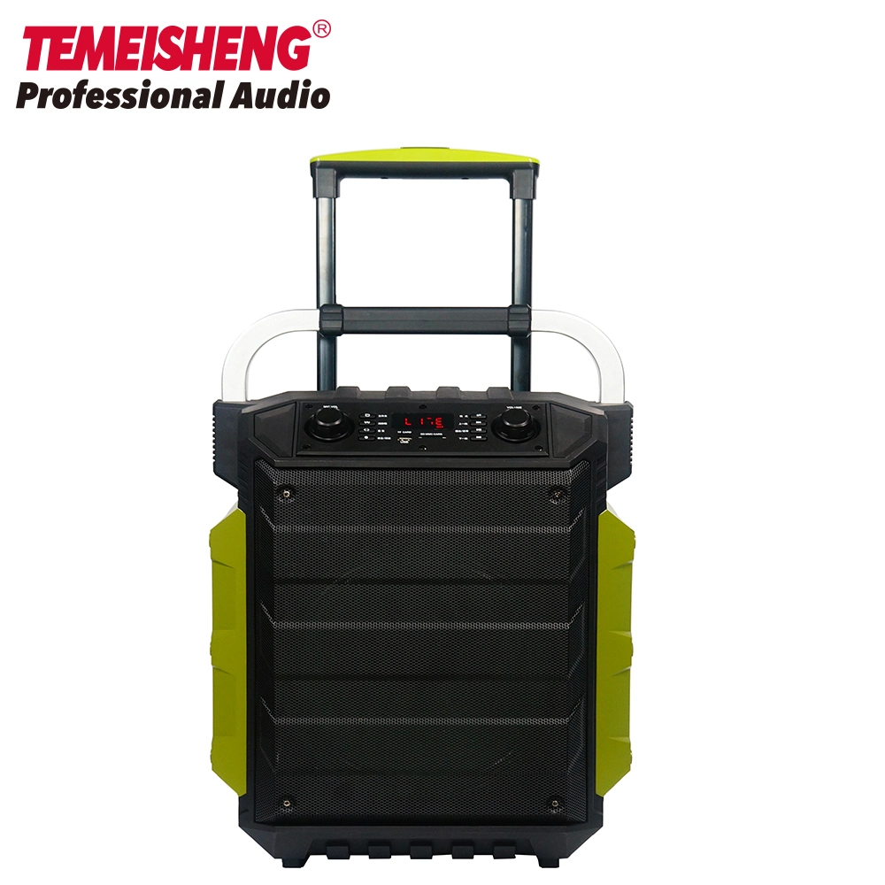 Portable Wireless Professional Rechargeable Trolley Bluetooth PA Speaker