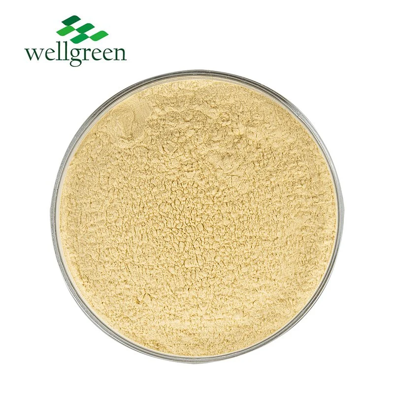 Gingerol Líquido Raiz Preta 6-Óleo Gingerol Chinês branco 90% 10: 1 Extrato de pó de gengibre