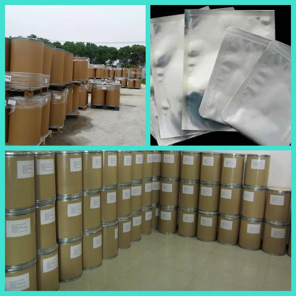 Supply High quality/High cost performance  Piracetam Powder CAS7491-74-9