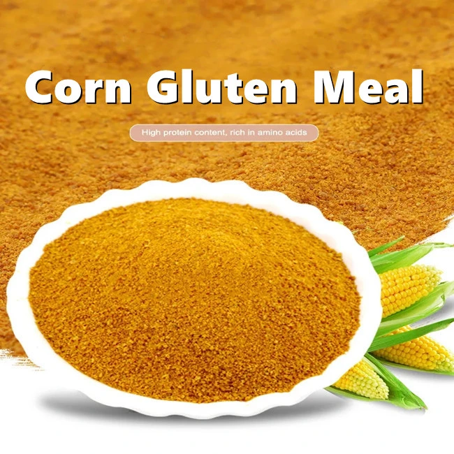 Yellow Crushed Maize Feed Grade Sweet Dry Corn Gluten Meal for Animal Corn Cobs and Bird Feed at Low Price