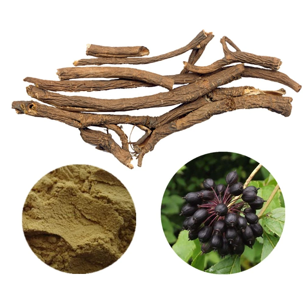 Herbway Natural Plant Extract Power Health Ingredient Improve Memory Siberian Ginseng Extract for Health Care Tonifying Qi and Essence Strengthening Tendons