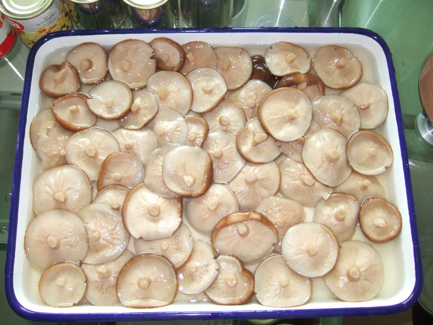 Health Food Fresh Shiitake Mushroom Whole From Factory Price