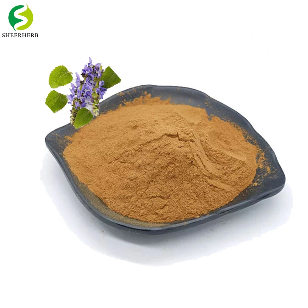 No Additives Food Grade Coleus Forskohlii Extract Powder