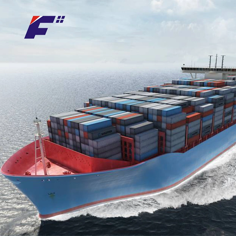 From Shenzhen Sea Freight Express Service to Syria Arabia Freight Forwarder Logistics Service