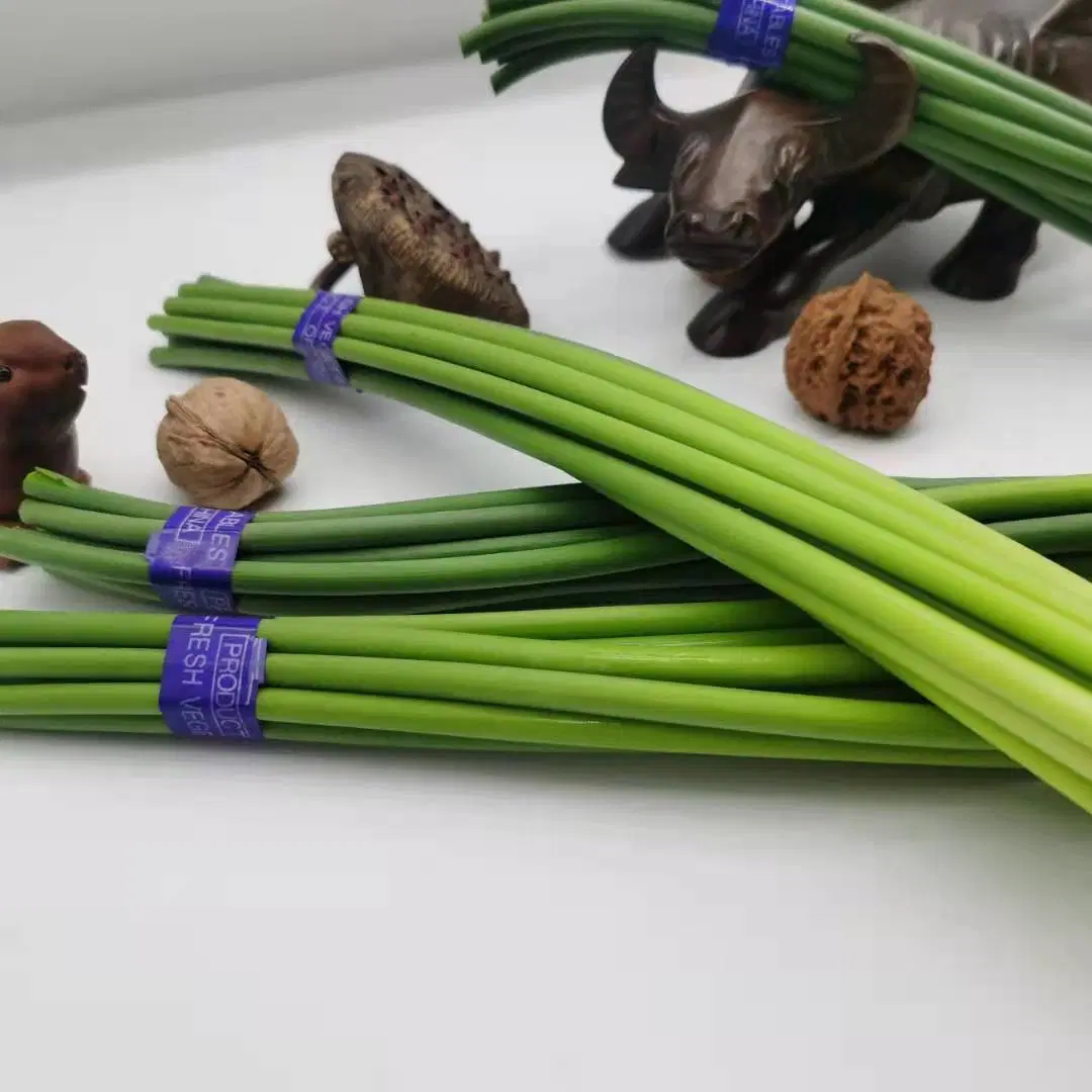 China Young Garlic Shoot, 250g One Bundle