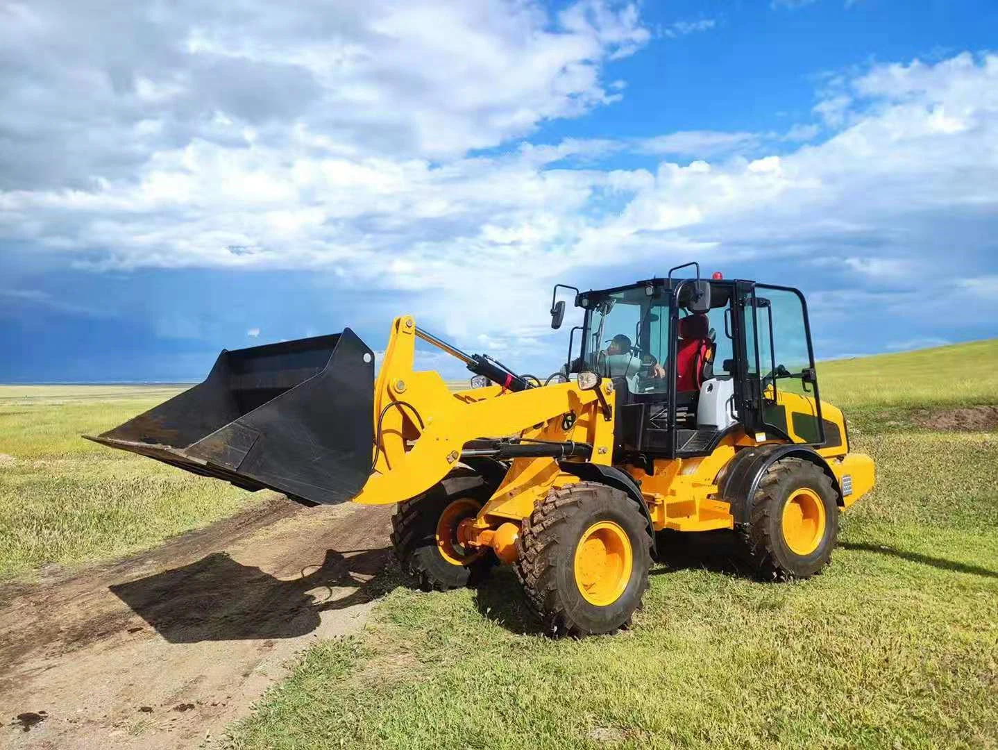 Haiqin Top Quality Strong (HQ580PRO) with CE, Euro V Engine Log Wheel Loader