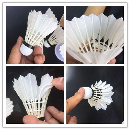 Supplier Best Seller High Quality Feather 3in1 Speed Performance Badminton Shuttlecock