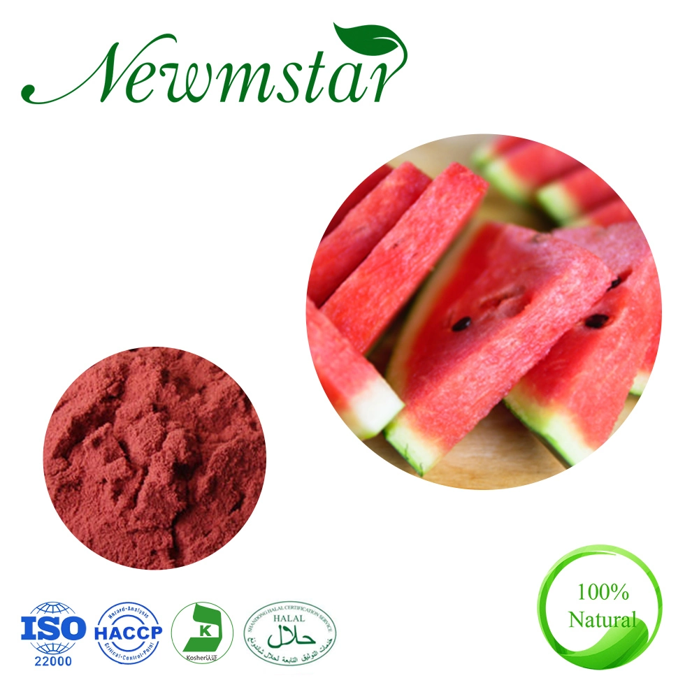 High Quality Watermelon Rind & Peel Extract/Watermelon Fruit Powder Extract