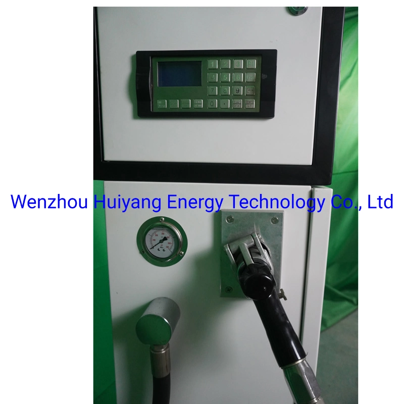 Welldone Factory Direct Sale Single Nozzle Double Nozzle LPG Dispenser