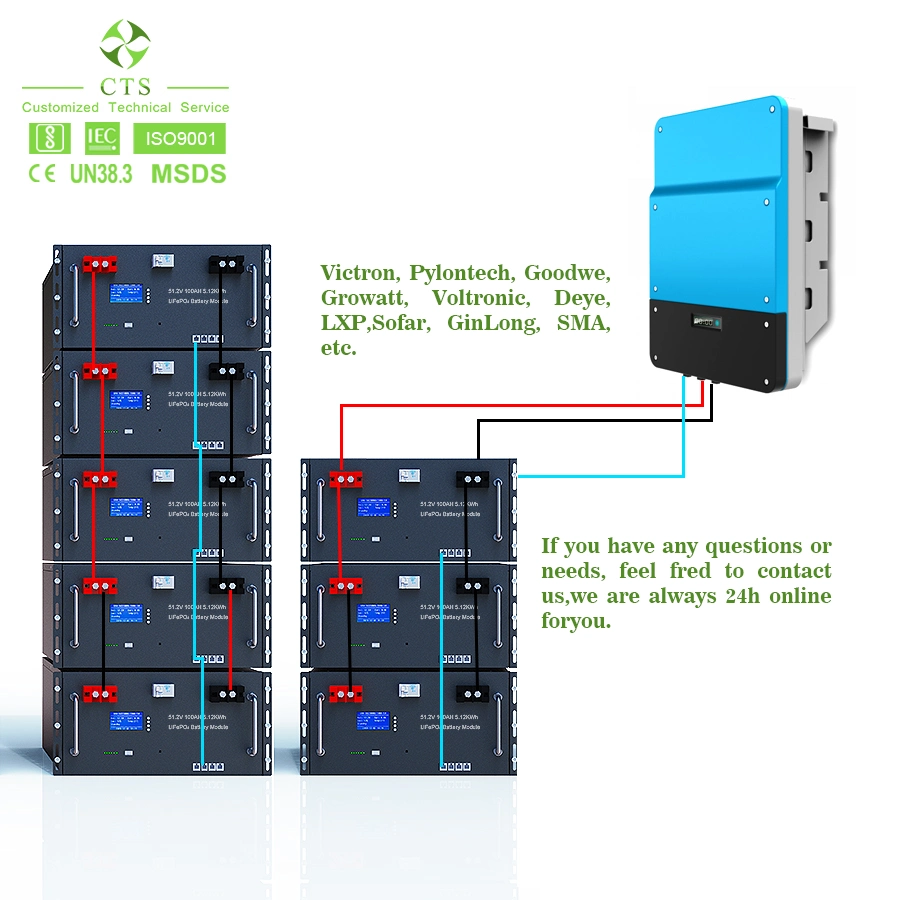 Rechargeable Long Cycle Life 48V 100ah Li-ion Rack Mounted Battery for Ess USP Solar Power Supply