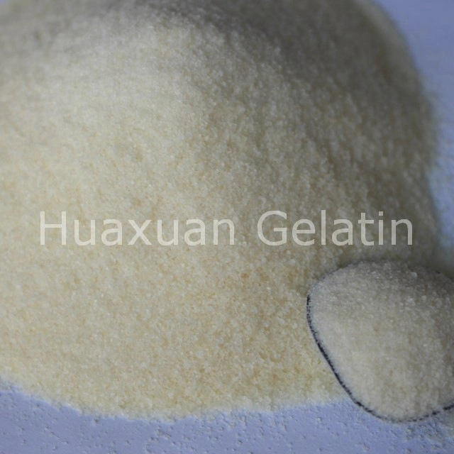 Fabricado na China melhor qualidade de gelatina