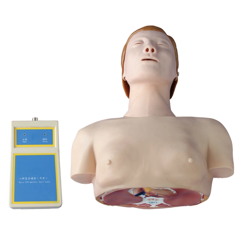 Индивидуальная обучающая модель ПВХ Mecan Обучение первой помощи СЛР для грудных детей Манекен с CE