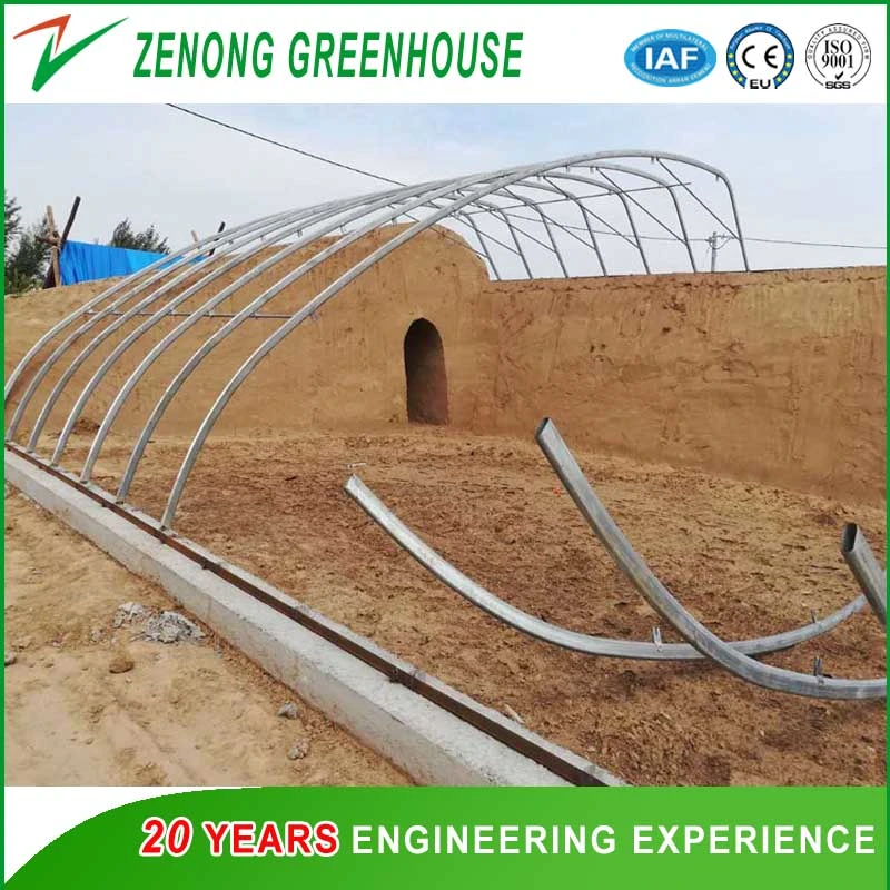 Single Span Small Size Solar Green House for Family Vegetable Cultivation/Farming/Agriculture/Gardening