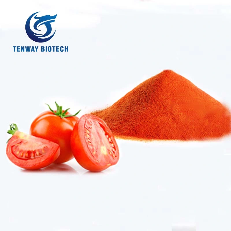 Ingrédient alimentaire biologique tomate poudre pour l'approvisionnement en usine de poudre de ketchup