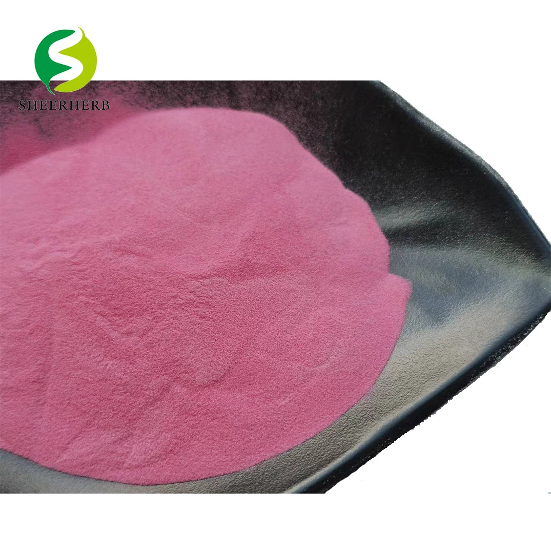 100% Pure Natural Blueberry Powder Bulk Blueberry Fruit Powder Lyophilisiert Heidelbeer-Pulver