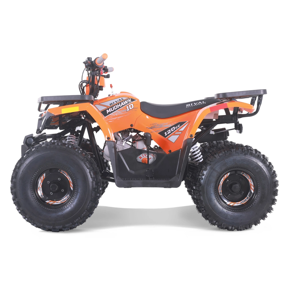 Hot Sales Quad Bike 125 cm3 ATV avec EPA ce