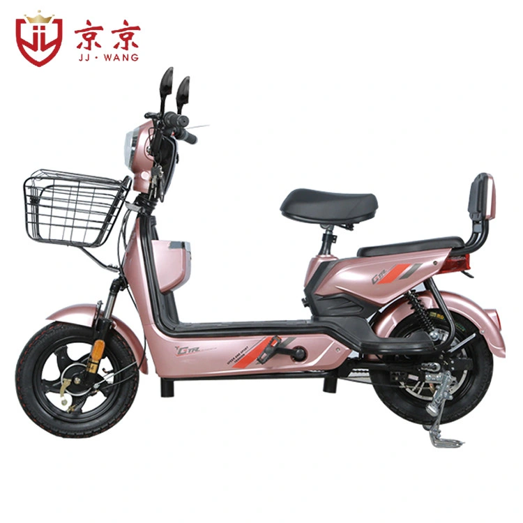 Ebike for Adults Electrical Bike 48V Electric Bike Batteries Electric Motor