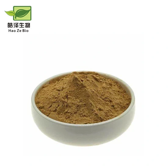 High Quality Fadogia Agrestis Supplier Fadogia Agrestis Extract Powder 10: 1 20: 1 50: 1