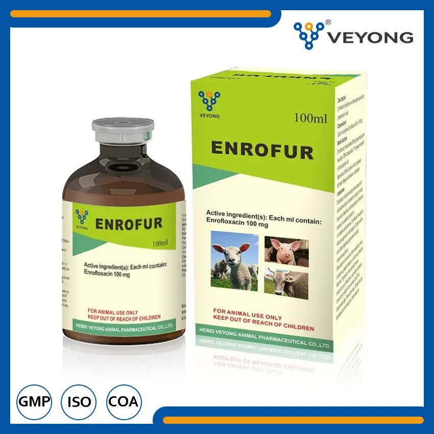 Animal Health Care Drugs Medicines 10% Enrofloxacin Injection Veterinary Hebei Veyong GMP