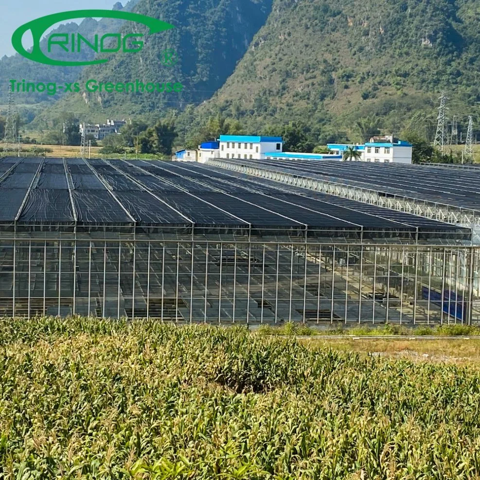 Inner Shading System Cooling Galvanized Steel Pipe Structure Glass Greenhouse for Vegetables