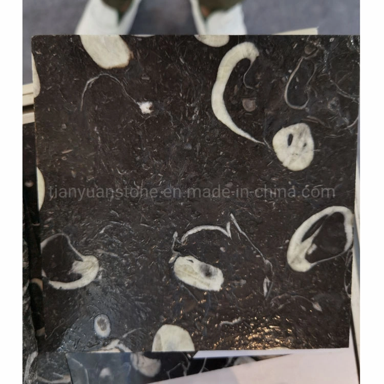 Black Fossil Black Granit für Top Center Table