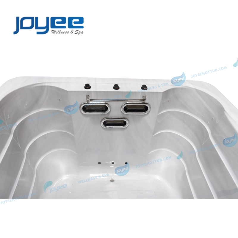 Joyee 4 6 Persons 4m Dual Zone Garden Outdoor Acrylic Hydro Massage SPA Surf Swim Pool