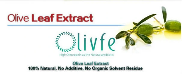 Health Care Antioxidant Olive Leaf Extract 20% 40% 50% 60% 70% 80% Oleuropein