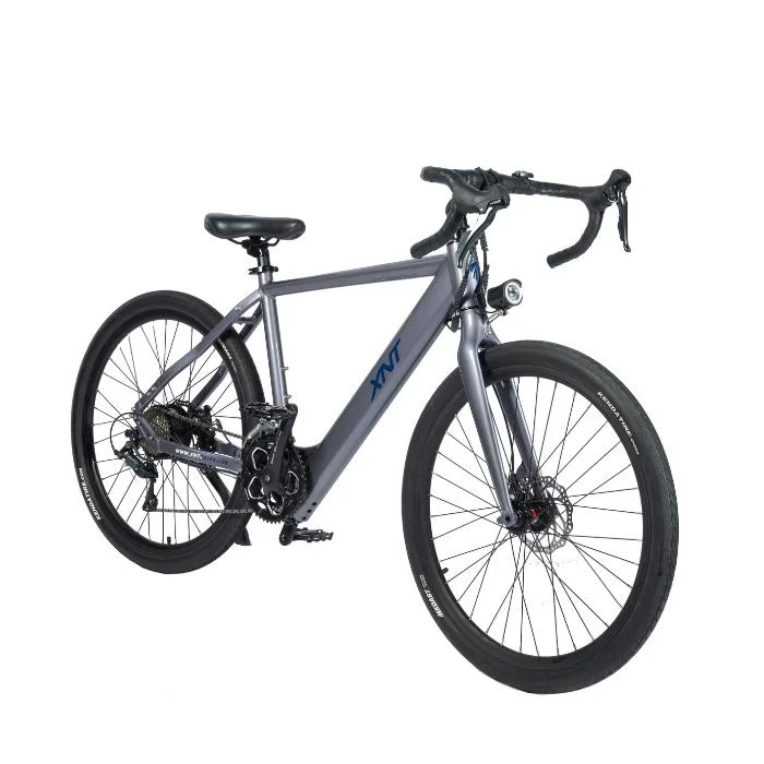 36V de 9 velocidades Xnt Road Ebike para descuento