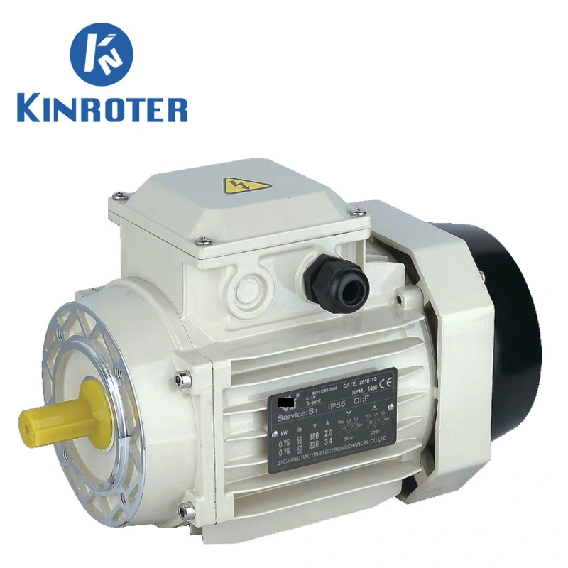 Ms/Ys/Ye2 Series Aluminium High Eifficiency Three Phase Asynchronous Induction Electric Motor