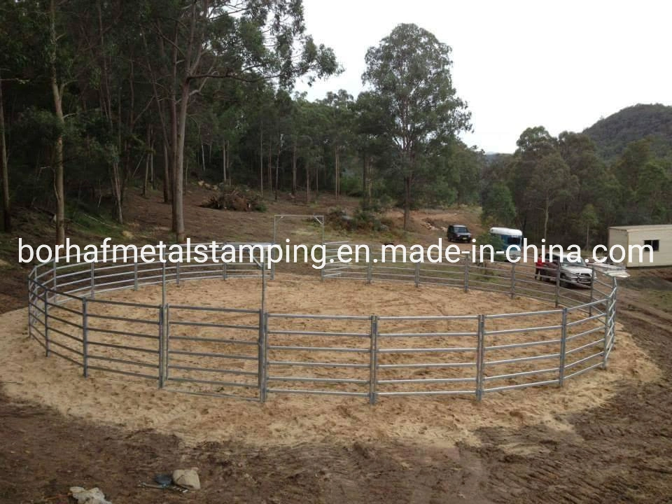 Horse Round Yard Panels, Australia Corral Panels, Cattle Gate Metal Frame Material and Rodent Proof Feature Livestock Farm Fence Panel with Gate