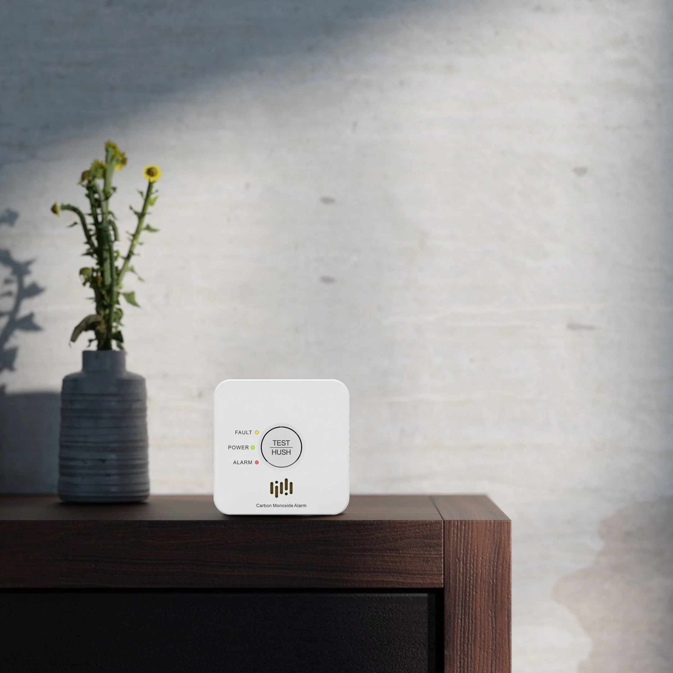 En50291 zertifizierter 5 Jahre Sensor Life Co Alarm mit Digital Anzeigen